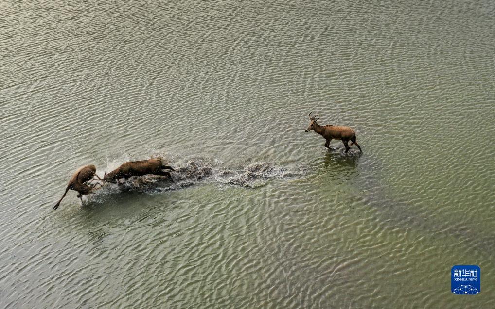 永利总站